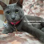 Quarto Privativo Na Avbeira Mar - Apto Familiar