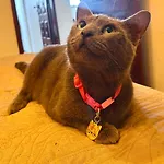 Quarto Privativo Na Avbeira Mar - Apto Familiar