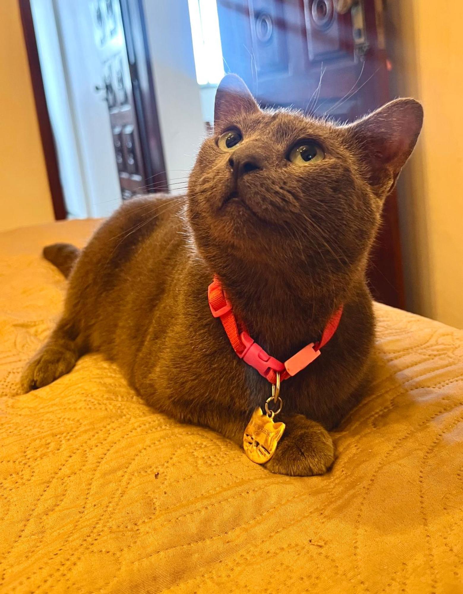 Hospedagem domiciliar Privativo Na Avbeira Mar - Apto Familiar